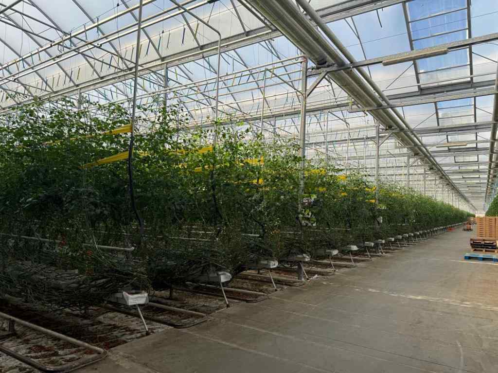 MLS® A2264647 - 11312 Range Road 63   in NONE Rural Cypress County, Agri-Business