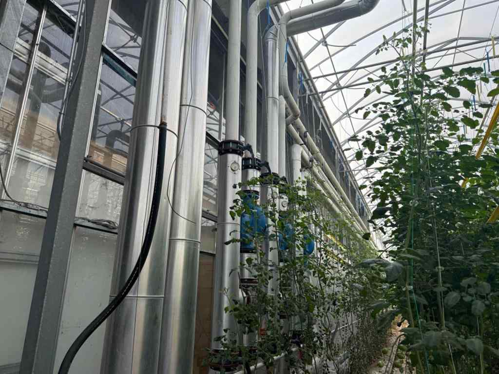 MLS® A2264647 - 11312 Range Road 63   in NONE Rural Cypress County, Agri-Business