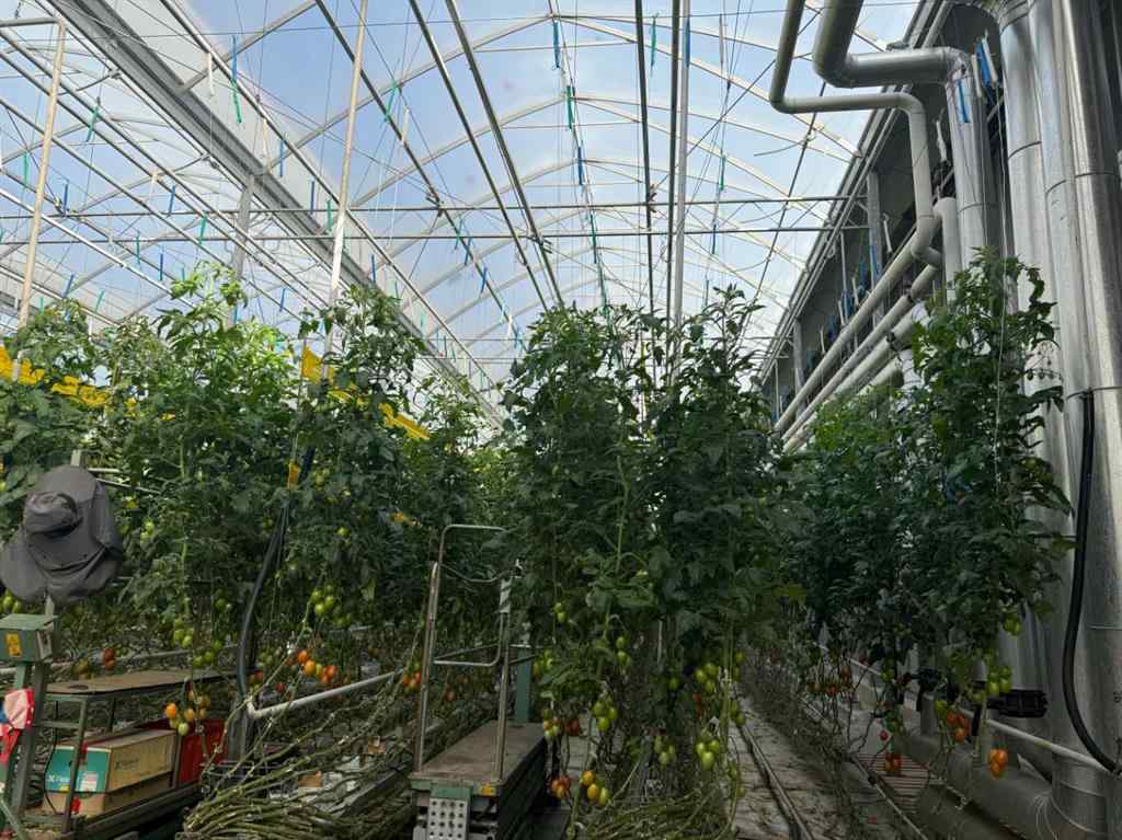 MLS® A2264647 - 11312 Range Road 63   in NONE Rural Cypress County, Agri-Business