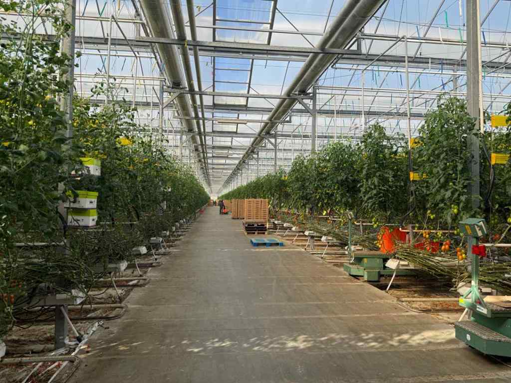 MLS® A2264647 - 11312 Range Road 63   in NONE Rural Cypress County, Agri-Business