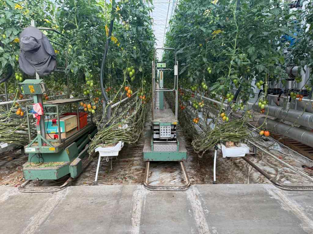 MLS® A2264647 - 11312 Range Road 63   in NONE Rural Cypress County, Agri-Business