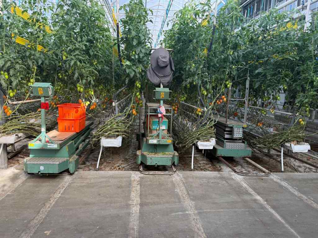 MLS® A2264647 - 11312 Range Road 63   in NONE Rural Cypress County, Agri-Business