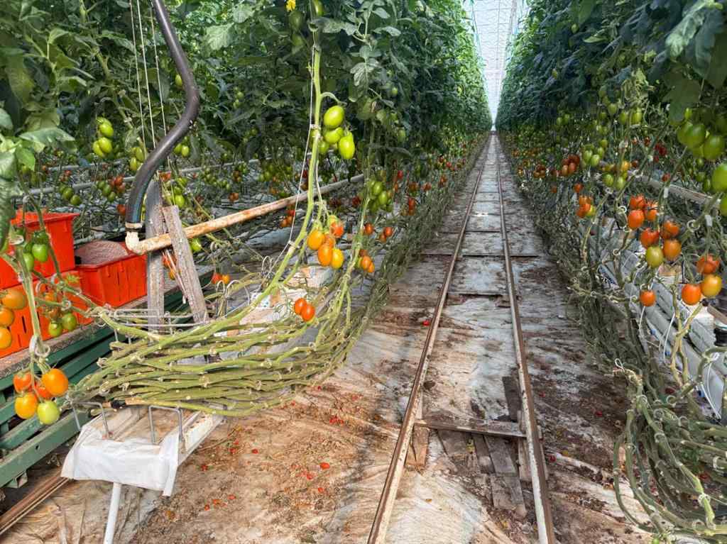 MLS® A2264647 - 11312 Range Road 63   in NONE Rural Cypress County, Agri-Business