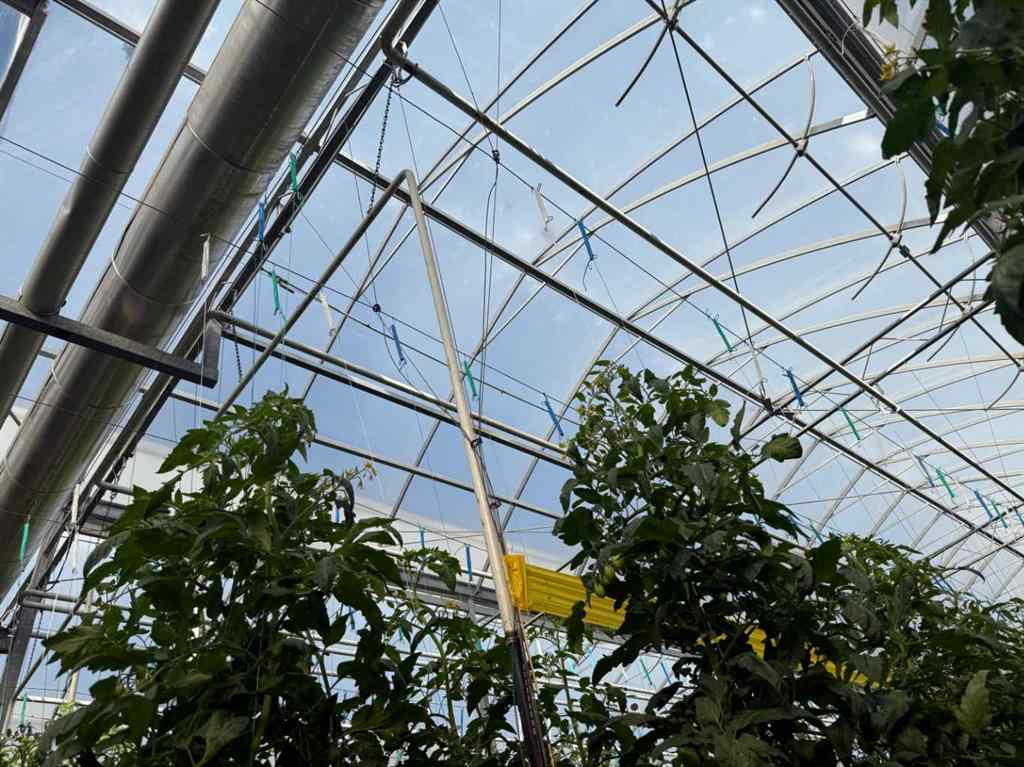 MLS® A2264647 - 11312 Range Road 63   in NONE Rural Cypress County, Agri-Business