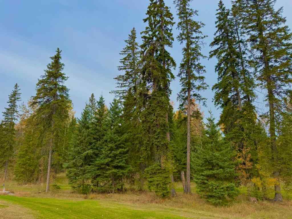 MLS® A2264687 - 202 Meadow Ponds Drive  in Diamond Willow Estates Rural Clearwater County, Land