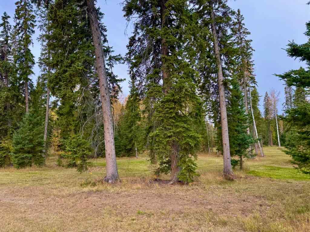 MLS® A2264687 - 202 Meadow Ponds Drive  in Diamond Willow Estates Rural Clearwater County, Land