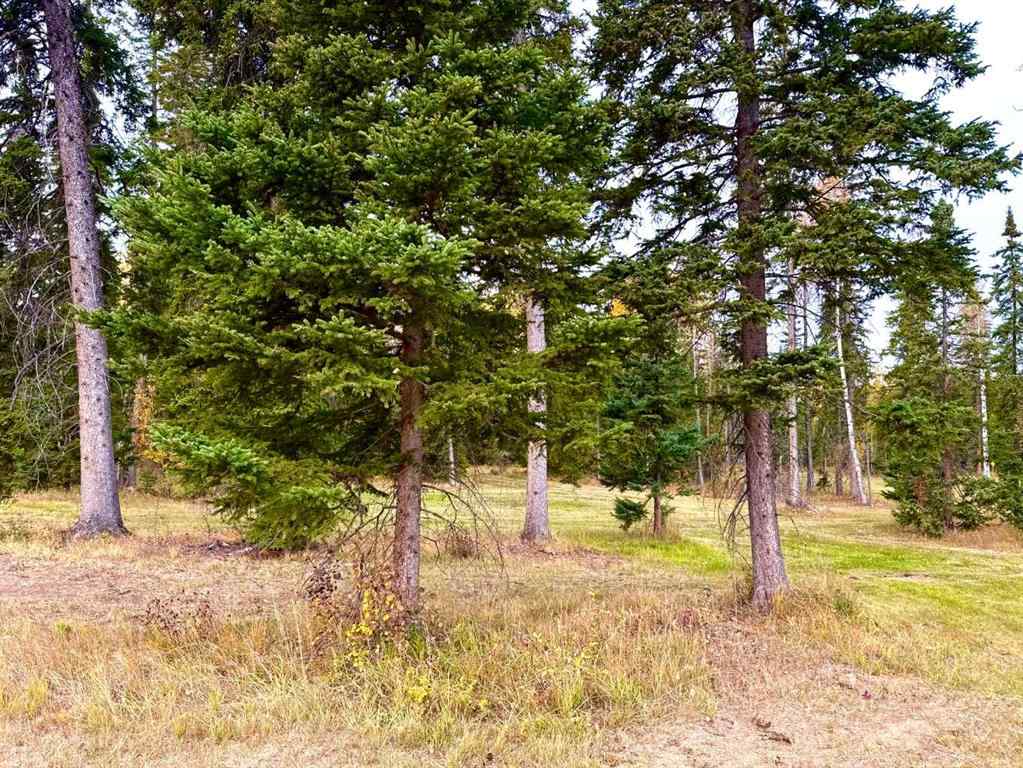 MLS® A2264687 - 202 Meadow Ponds Drive  in Diamond Willow Estates Rural Clearwater County, Land