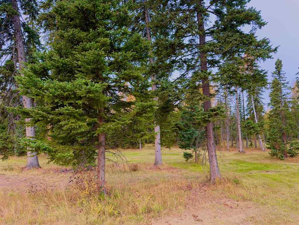 MLS® A2264687 - 202 Meadow Ponds Drive  in Diamond Willow Estates Rural Clearwater County, Land