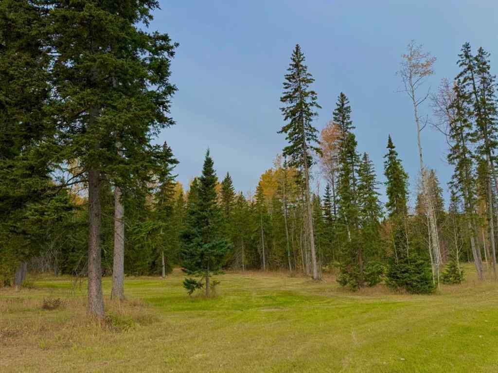 MLS® A2264687 - 202 Meadow Ponds Drive  in Diamond Willow Estates Rural Clearwater County, Land