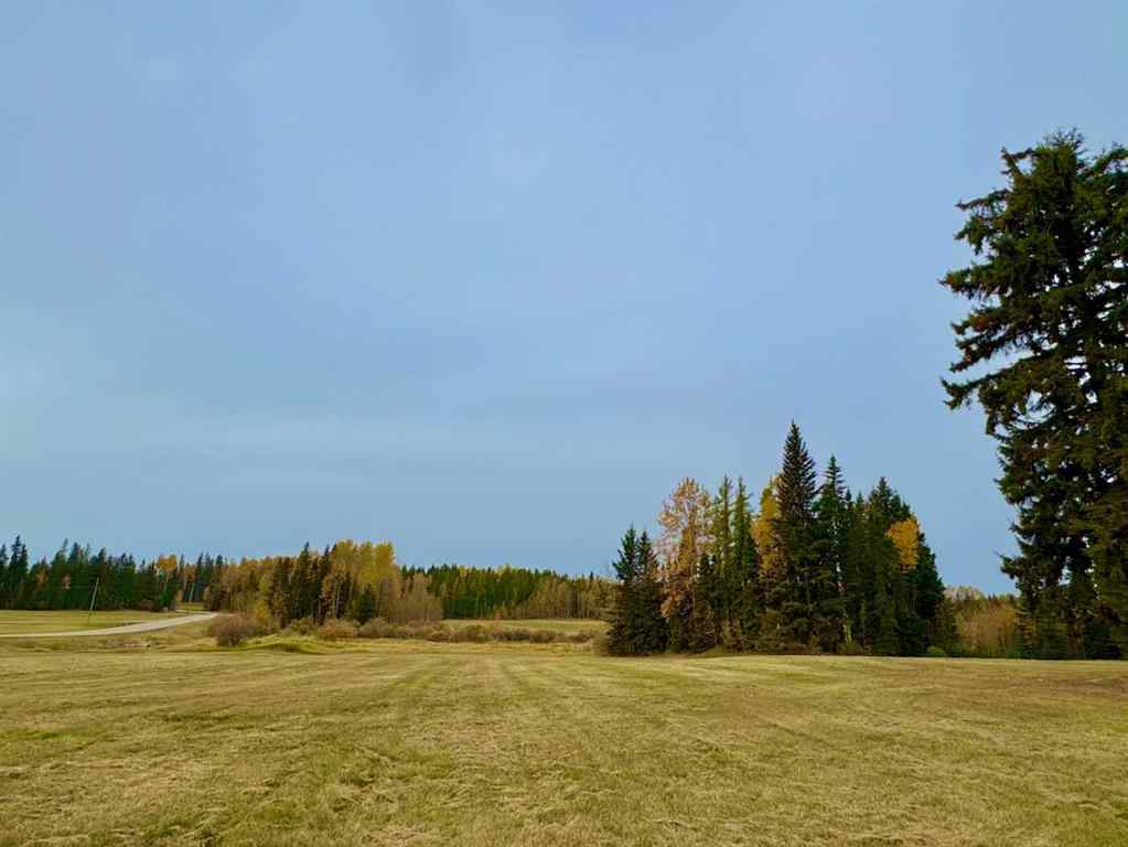 MLS® A2264690 - 317 Valley View Drive  in Diamond Willow Estates Rural Clearwater County, Land