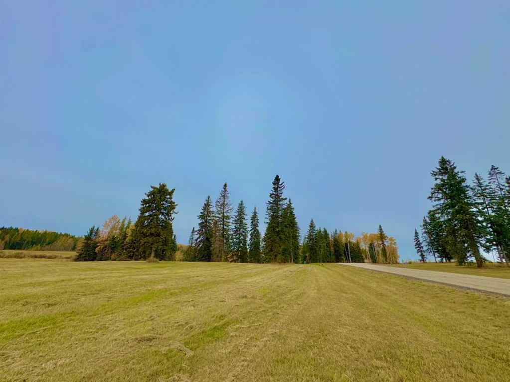 MLS® A2264690 - 317 Valley View Drive  in Diamond Willow Estates Rural Clearwater County, Land