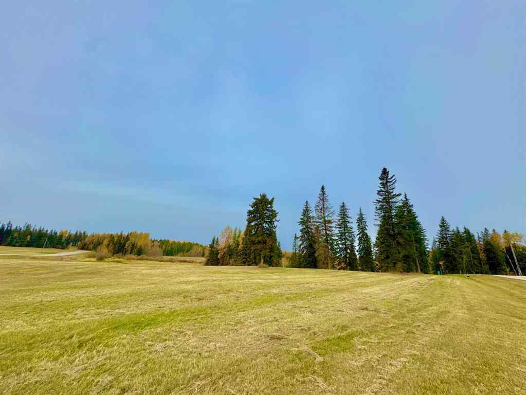 MLS® A2264690 - 317 Valley View Drive  in Diamond Willow Estates Rural Clearwater County, Land