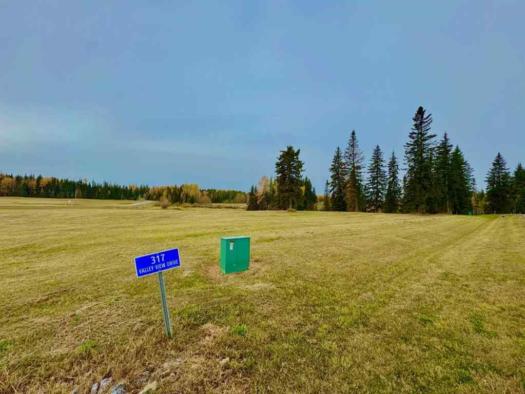MLS® A2264690 - 317 Valley View Drive  in Diamond Willow Estates Rural Clearwater County, Land