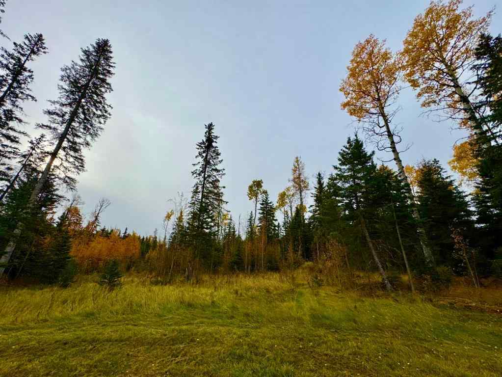 MLS® A2264692 - 103 Meadow Ponds Drive  in Diamond Willow Estates Rural Clearwater County, Land