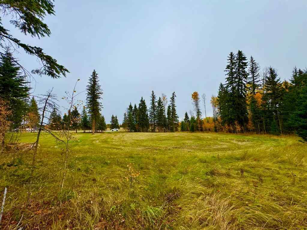 MLS® A2264692 - 103 Meadow Ponds Drive  in Diamond Willow Estates Rural Clearwater County, Land