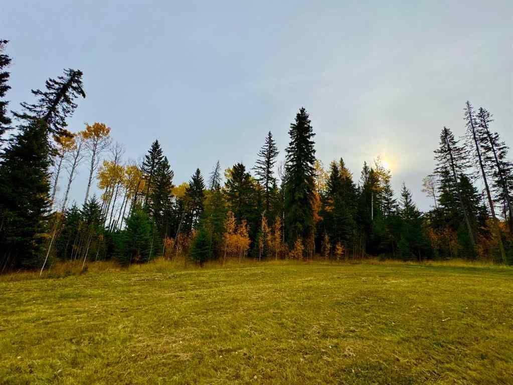 MLS® A2264692 - 103 Meadow Ponds Drive  in Diamond Willow Estates Rural Clearwater County, Land
