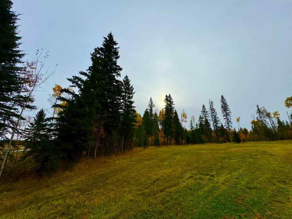 MLS® A2264692 - 103 Meadow Ponds Drive  in Diamond Willow Estates Rural Clearwater County, Land