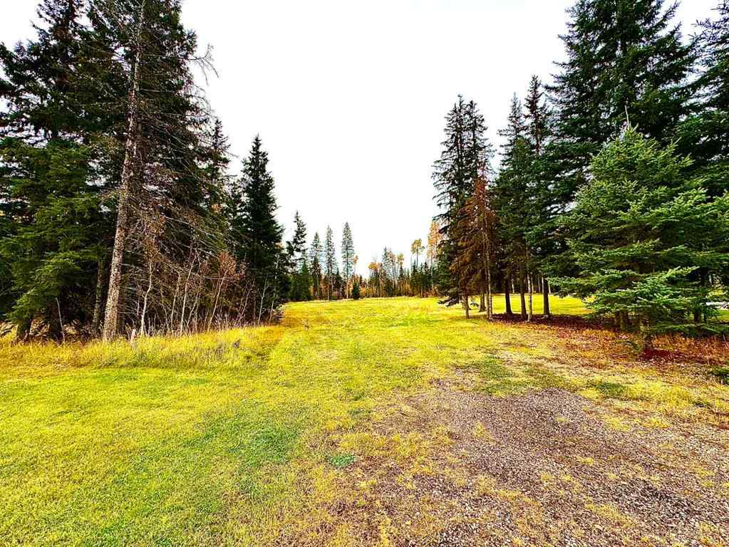 MLS® A2264692 - 103 Meadow Ponds Drive  in Diamond Willow Estates Rural Clearwater County, Land