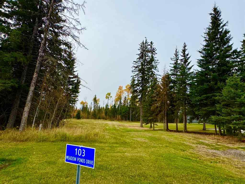 MLS® A2264692 - 103 Meadow Ponds Drive  in Diamond Willow Estates Rural Clearwater County, Land