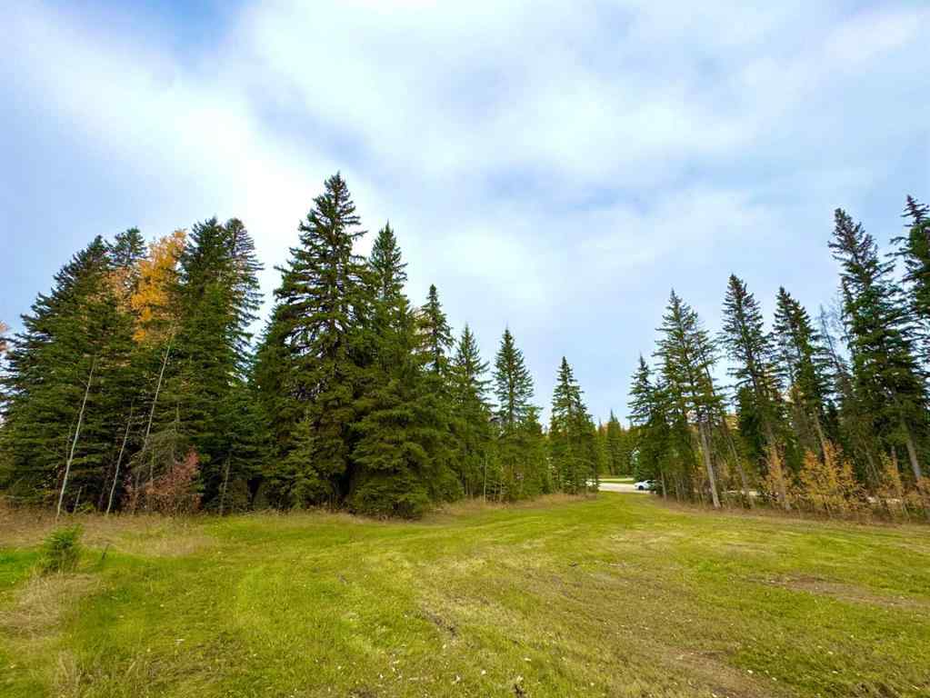 MLS® A2264694 - 127 Meadow Ponds Drive  in Diamond Willow Estates Rural Clearwater County, Land