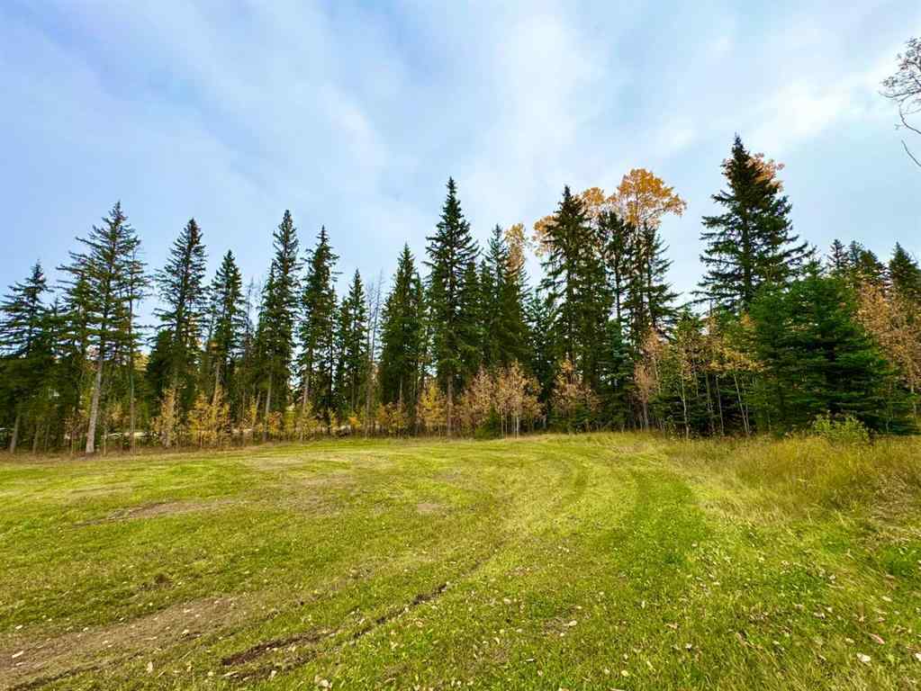MLS® A2264694 - 127 Meadow Ponds Drive  in Diamond Willow Estates Rural Clearwater County, Land
