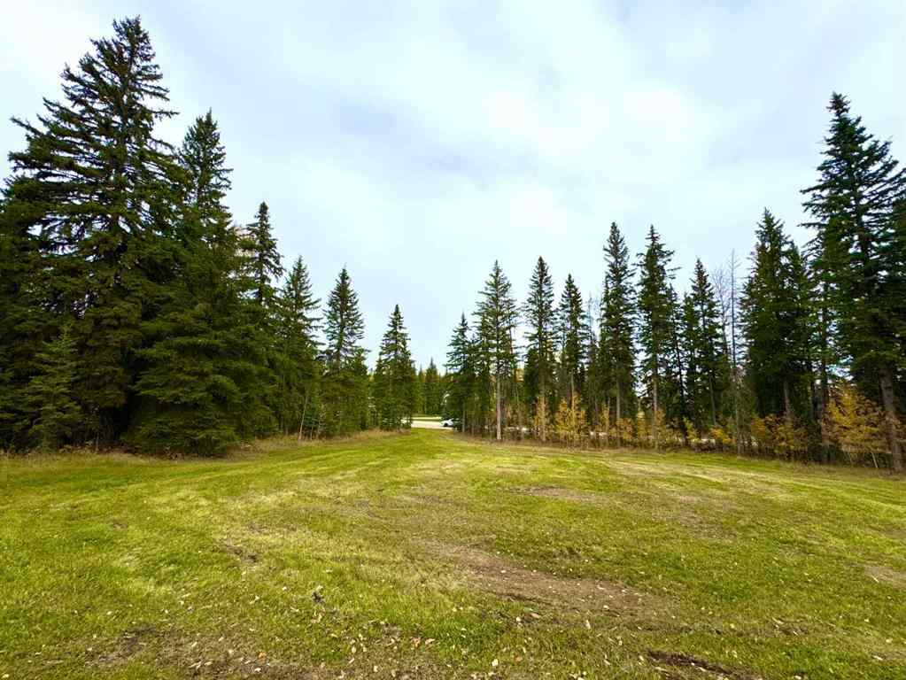 MLS® A2264694 - 127 Meadow Ponds Drive  in Diamond Willow Estates Rural Clearwater County, Land