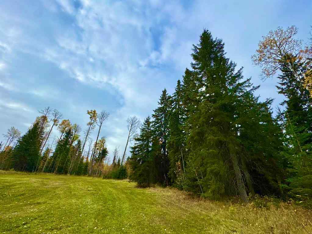 MLS® A2264694 - 127 Meadow Ponds Drive  in Diamond Willow Estates Rural Clearwater County, Land