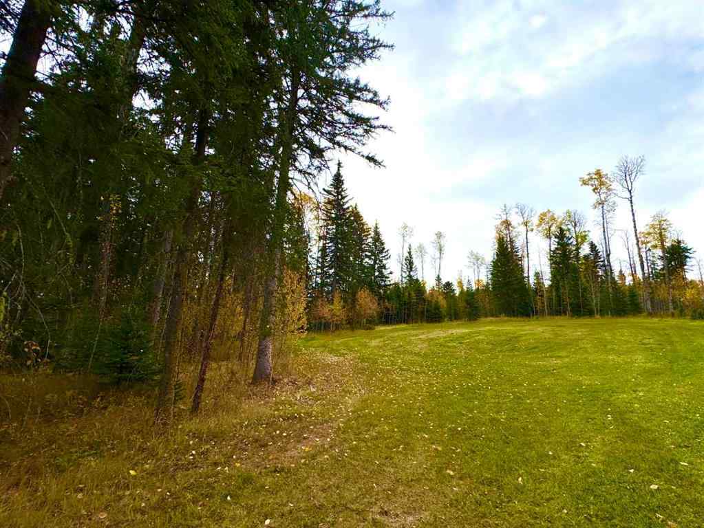 MLS® A2264694 - 127 Meadow Ponds Drive  in Diamond Willow Estates Rural Clearwater County, Land