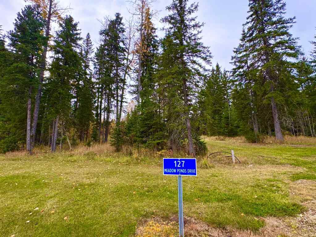 MLS® A2264694 - 127 Meadow Ponds Drive  in Diamond Willow Estates Rural Clearwater County, Land