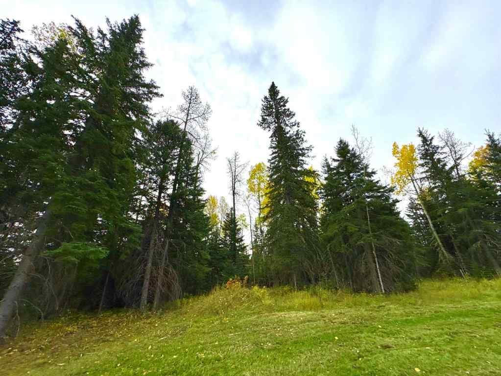 MLS® A2264695 - 111 Meadow Ponds Drive  in Diamond Willow Estates Rural Clearwater County, Land
