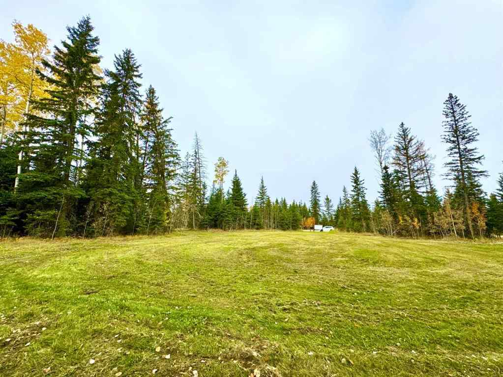 MLS® A2264695 - 111 Meadow Ponds Drive  in Diamond Willow Estates Rural Clearwater County, Land