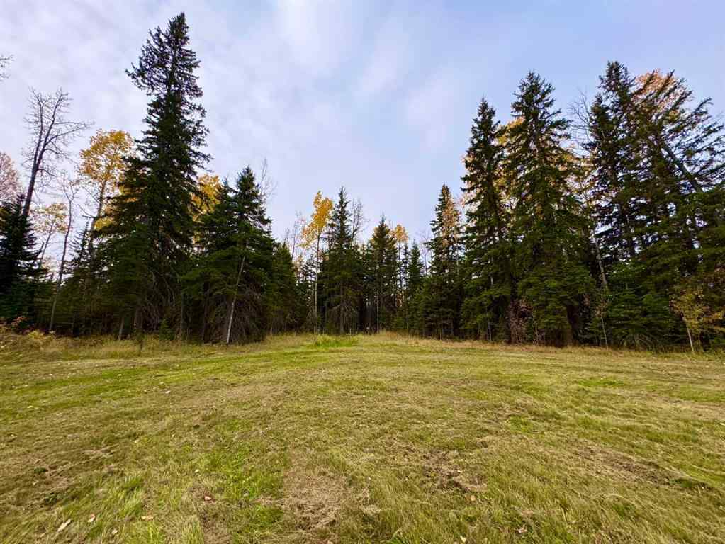 MLS® A2264695 - 111 Meadow Ponds Drive  in Diamond Willow Estates Rural Clearwater County, Land