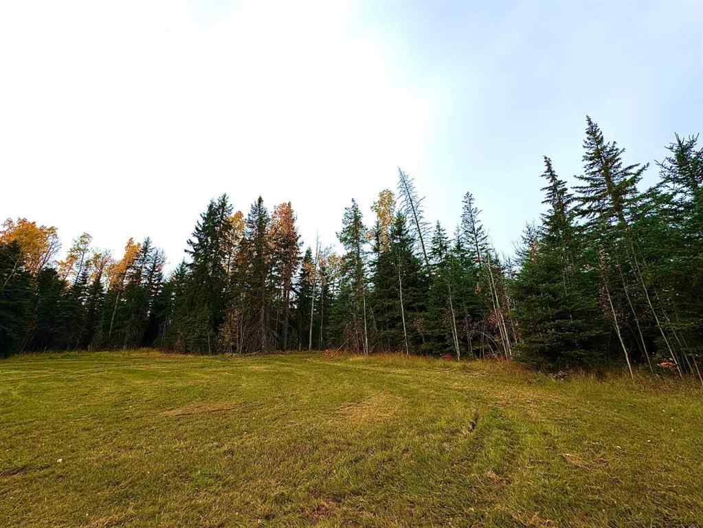 MLS® A2264695 - 111 Meadow Ponds Drive  in Diamond Willow Estates Rural Clearwater County, Land