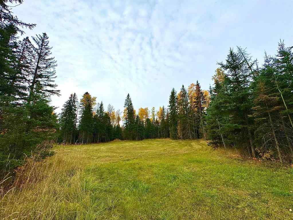 MLS® A2264695 - 111 Meadow Ponds Drive  in Diamond Willow Estates Rural Clearwater County, Land