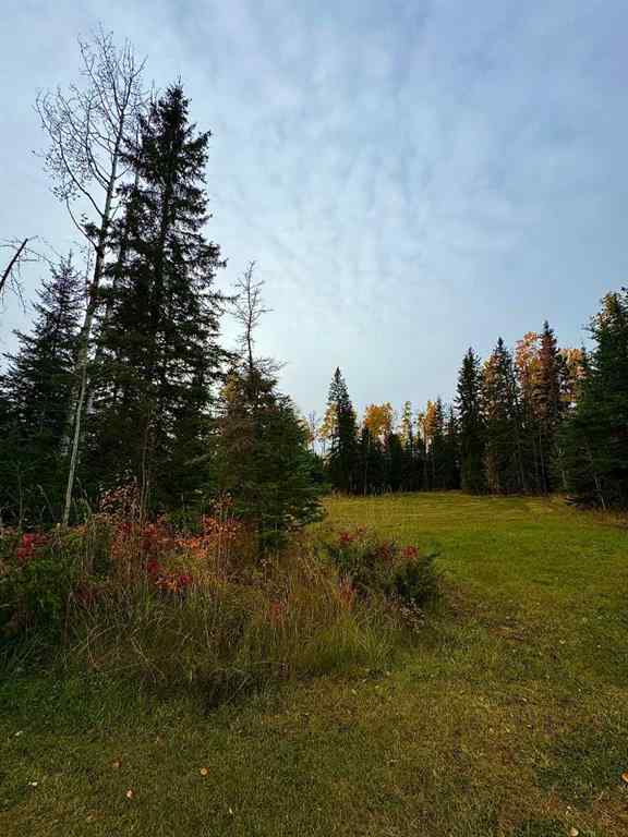 MLS® A2264695 - 111 Meadow Ponds Drive  in Diamond Willow Estates Rural Clearwater County, Land