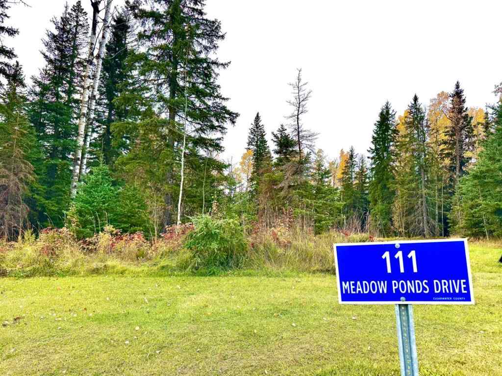 MLS® A2264695 - 111 Meadow Ponds Drive  in Diamond Willow Estates Rural Clearwater County, Land