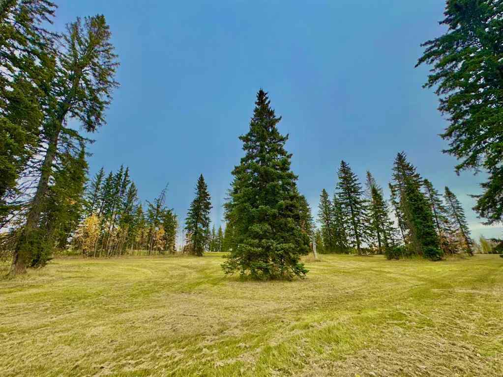 MLS® A2264698 - 309 Valley View Drive  in Diamond Willow Estates Rural Clearwater County, Land