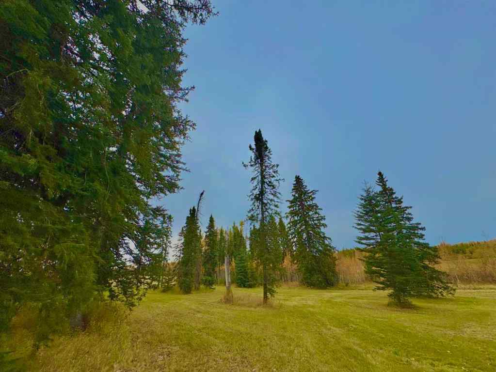 MLS® A2264698 - 309 Valley View Drive  in Diamond Willow Estates Rural Clearwater County, Land