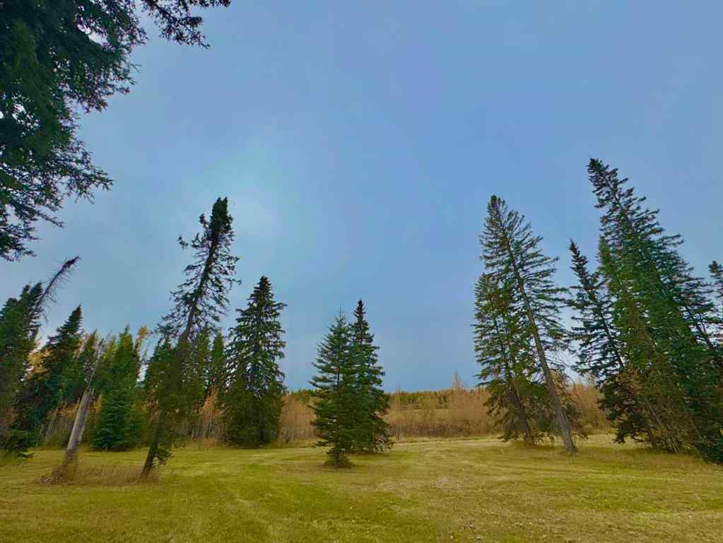 MLS® A2264698 - 309 Valley View Drive  in Diamond Willow Estates Rural Clearwater County, Land