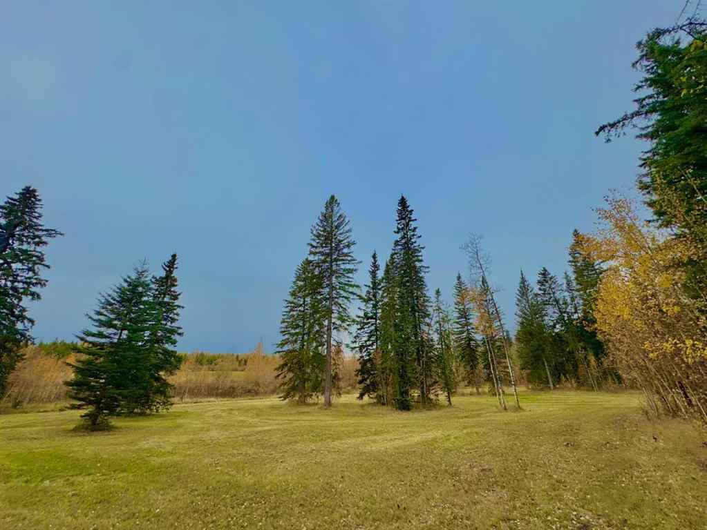 MLS® A2264698 - 309 Valley View Drive  in Diamond Willow Estates Rural Clearwater County, Land