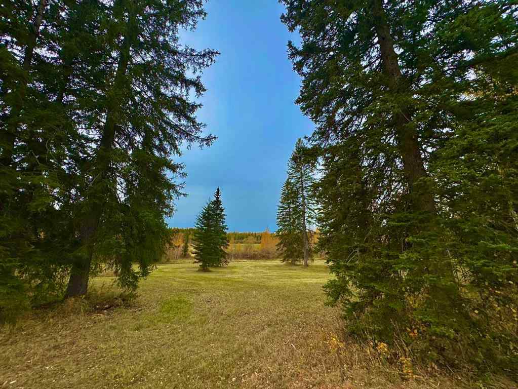 MLS® A2264698 - 309 Valley View Drive  in Diamond Willow Estates Rural Clearwater County, Land