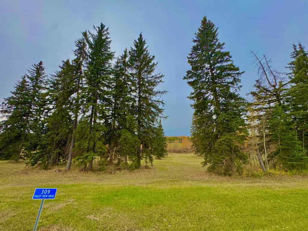 MLS® A2264698 - 309 Valley View Drive  in Diamond Willow Estates Rural Clearwater County, Land