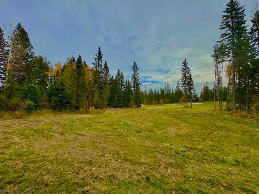MLS® A2264699 - 157 Meadow Ponds Drive  in Diamond Willow Estates Rural Clearwater County, Land