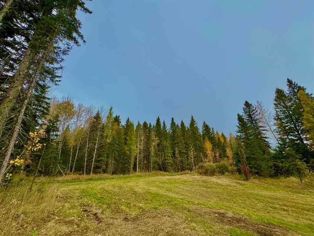 MLS® A2264699 - 157 Meadow Ponds Drive  in Diamond Willow Estates Rural Clearwater County, Land