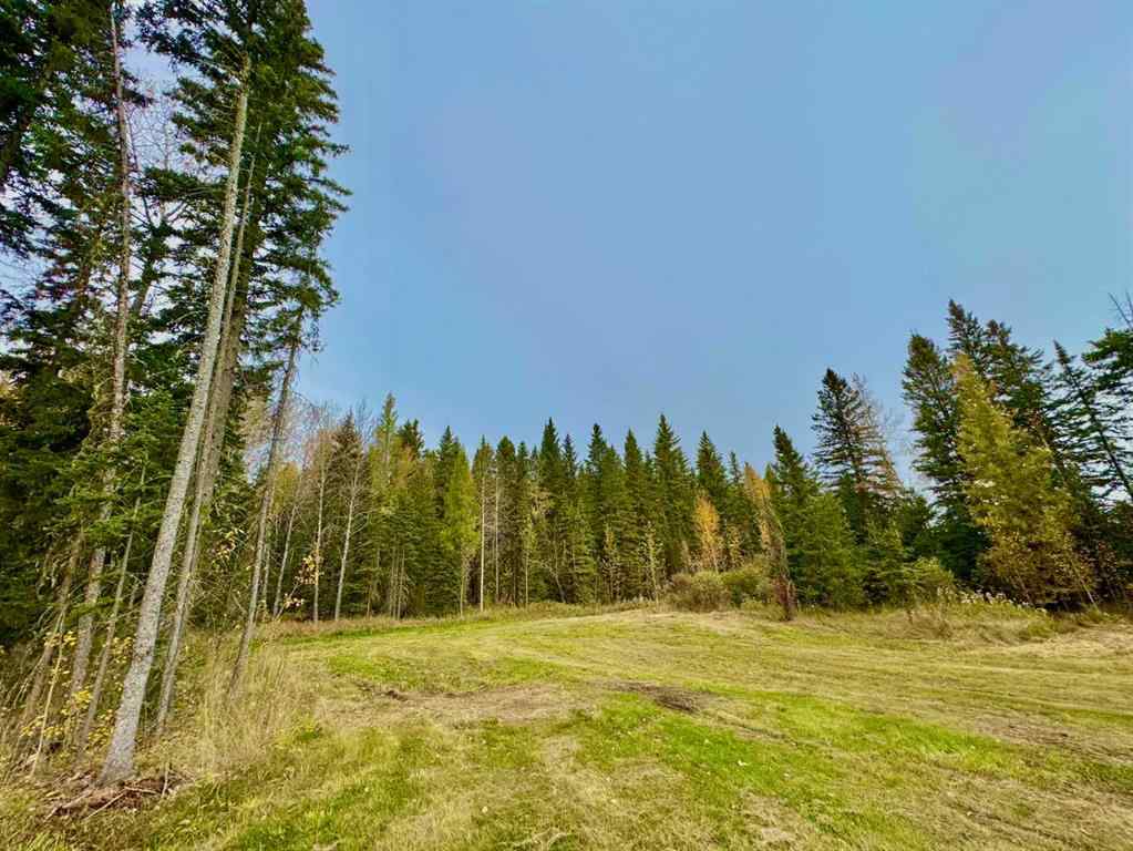 MLS® A2264699 - 157 Meadow Ponds Drive  in Diamond Willow Estates Rural Clearwater County, Land
