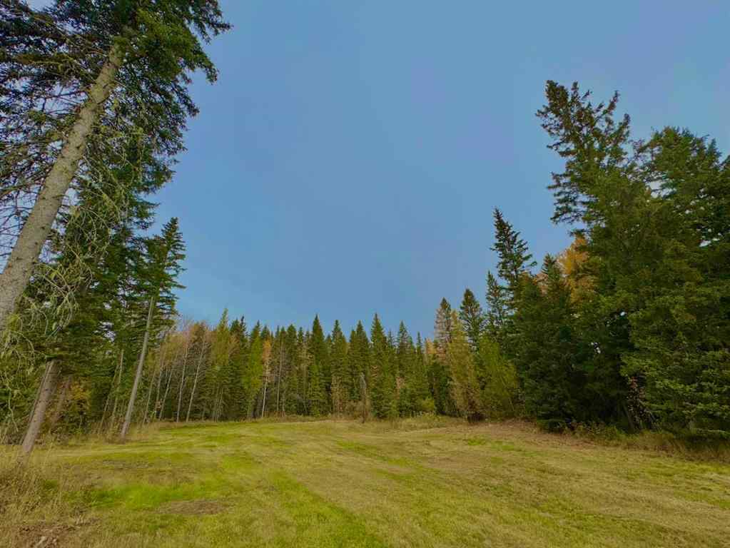MLS® A2264699 - 157 Meadow Ponds Drive  in Diamond Willow Estates Rural Clearwater County, Land