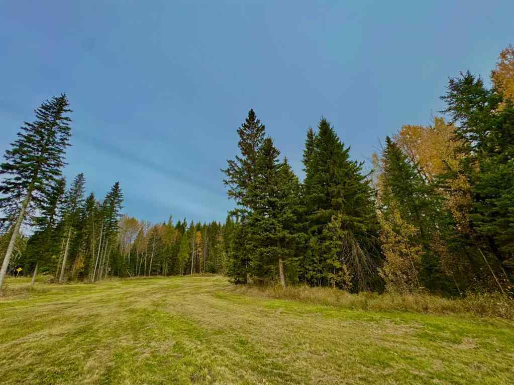 MLS® A2264699 - 157 Meadow Ponds Drive  in Diamond Willow Estates Rural Clearwater County, Land