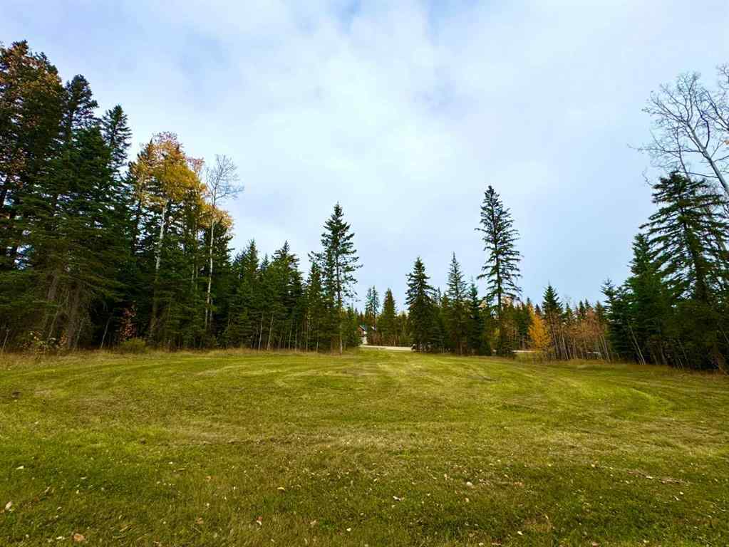 MLS® A2264700 - 119 Meadow Ponds Drive  in Diamond Willow Estates Rural Clearwater County, Land