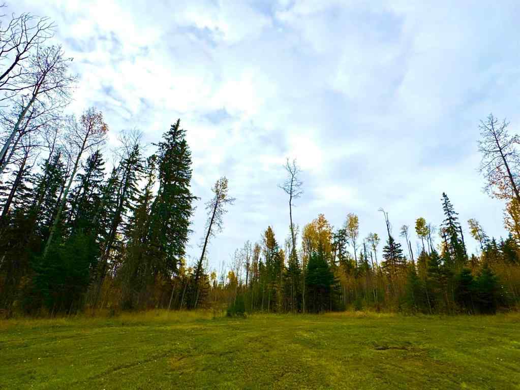 MLS® A2264700 - 119 Meadow Ponds Drive  in Diamond Willow Estates Rural Clearwater County, Land