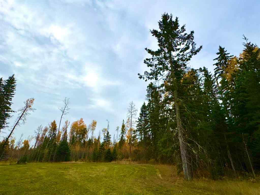 MLS® A2264700 - 119 Meadow Ponds Drive  in Diamond Willow Estates Rural Clearwater County, Land